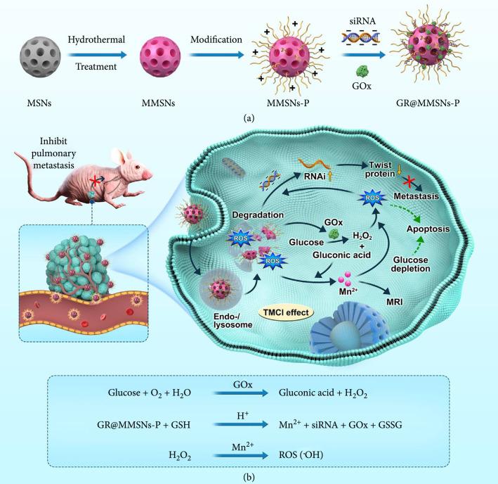 https://cdn.ncbi.nlm.nih.gov/pmc/blobs/97f9/11014676/60d42b0617a0/9760398.fig.001.jpg