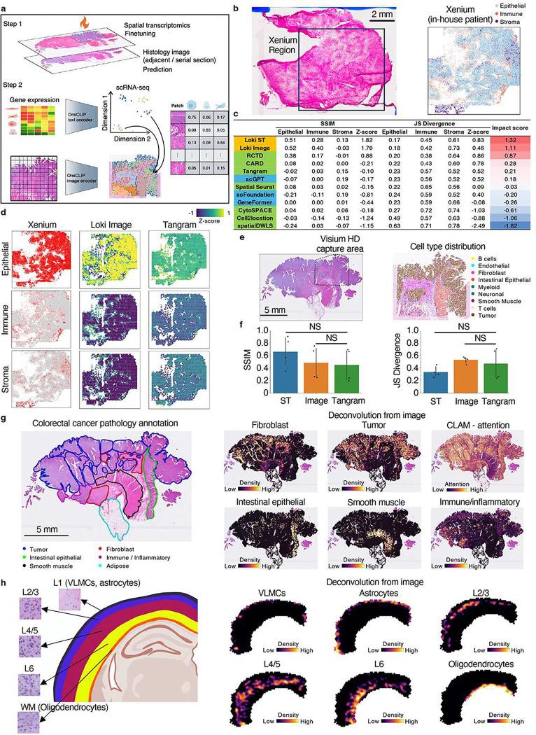 https://cdn.ncbi.nlm.nih.gov/pmc/blobs/97f9/12047990/570f9a74fddc/nihpp-rs5183775v1-f0005.jpg