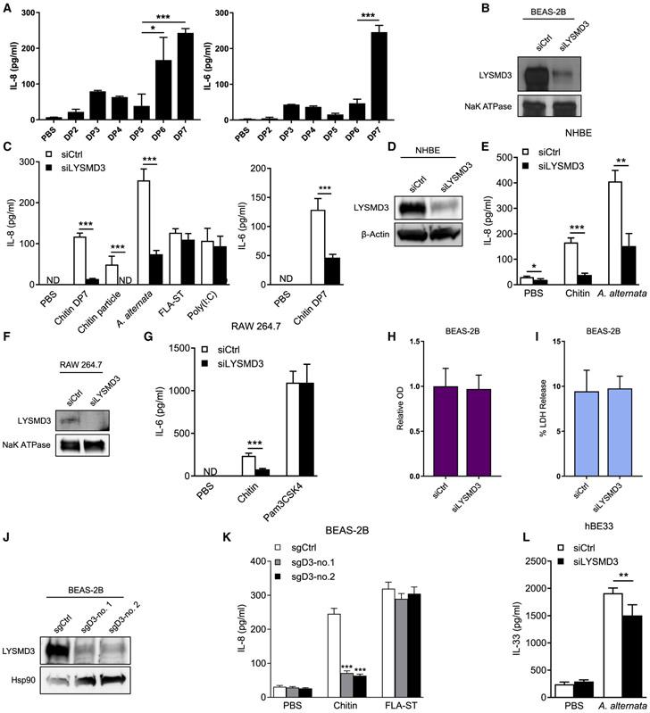 https://cdn.ncbi.nlm.nih.gov/pmc/blobs/97f9/8344708/505acc021d73/nihms-1726835-f0004.jpg