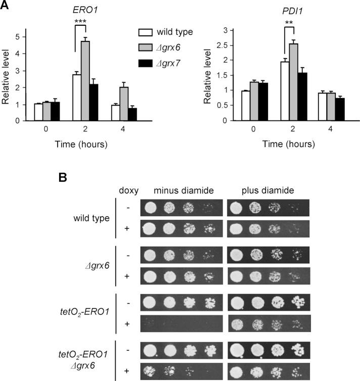 https://cdn.ncbi.nlm.nih.gov/pmc/blobs/97fc/4279222/c3b4889ca2a2/104fig6.jpg