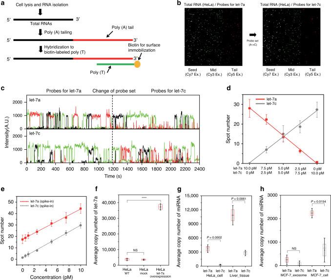 https://cdn.ncbi.nlm.nih.gov/pmc/blobs/97fe/7699633/95ddaec1b981/41467_2020_19865_Fig3_HTML.jpg