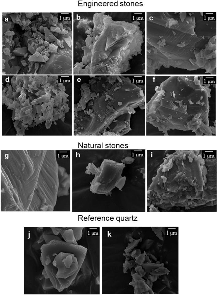 https://cdn.ncbi.nlm.nih.gov/pmc/blobs/9800/8921240/4610320b960d/41598_2022_8378_Fig2_HTML.jpg