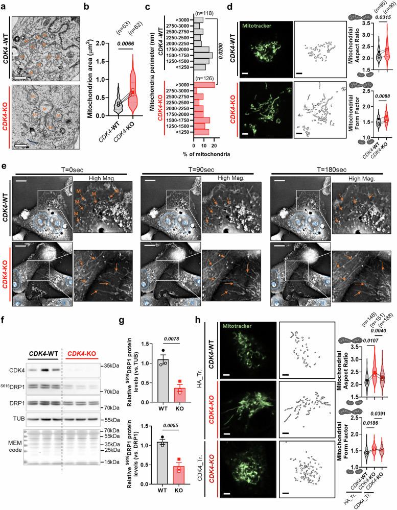 https://cdn.ncbi.nlm.nih.gov/pmc/blobs/9805/11718081/13bf612745a8/41467_2024_55605_Fig4_HTML.jpg