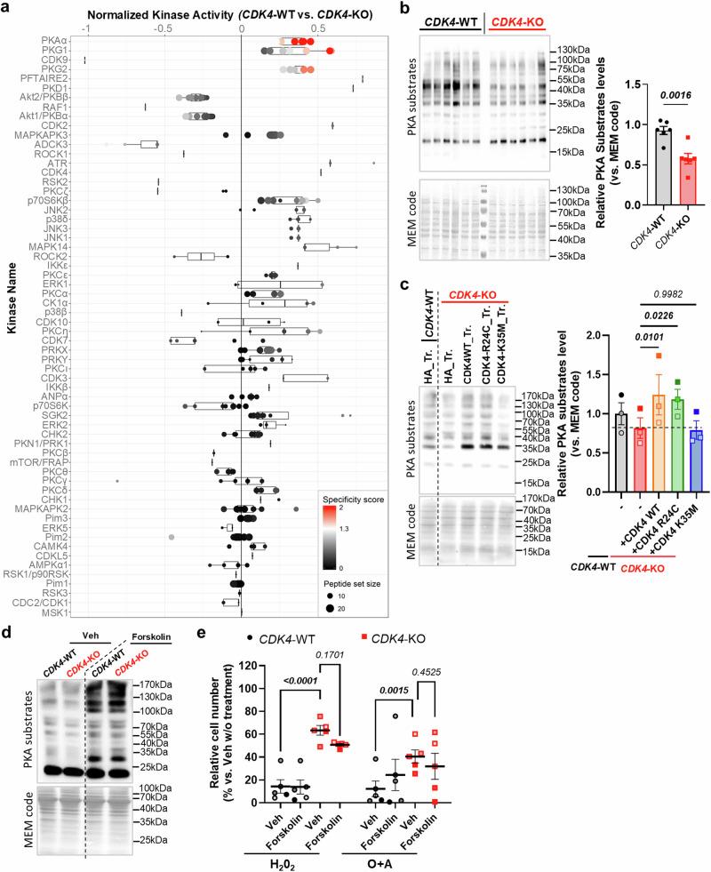 https://cdn.ncbi.nlm.nih.gov/pmc/blobs/9805/11718081/4edb5d7aa140/41467_2024_55605_Fig7_HTML.jpg