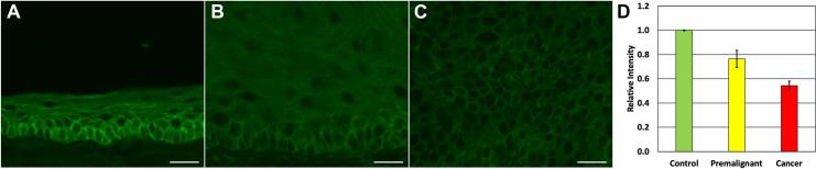 https://cdn.ncbi.nlm.nih.gov/pmc/blobs/9806/8594836/e75b988d59c0/pone.0259998.g001.jpg