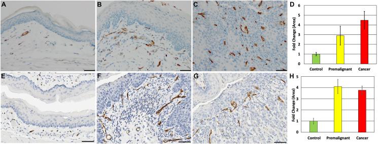 https://cdn.ncbi.nlm.nih.gov/pmc/blobs/9806/8594836/fe8226abf8a6/pone.0259998.g004.jpg