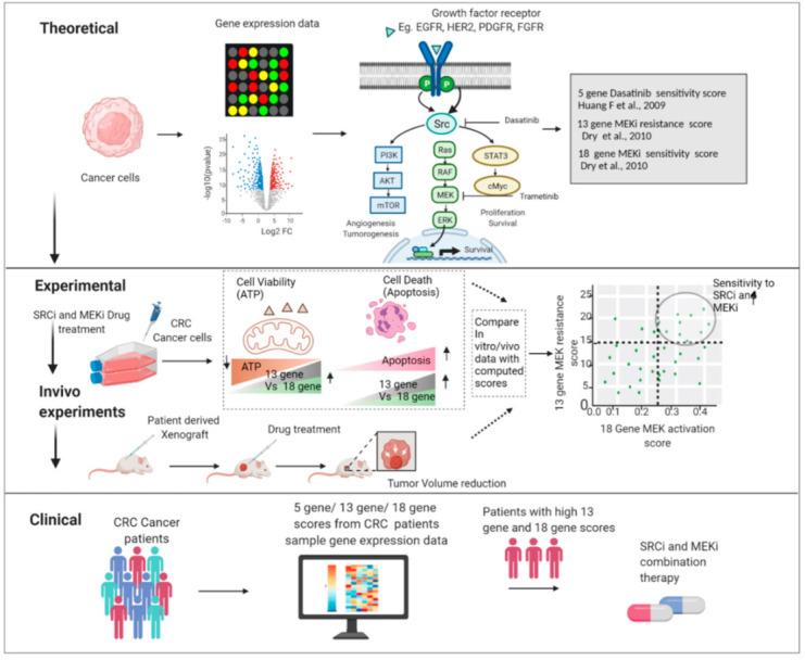 https://cdn.ncbi.nlm.nih.gov/pmc/blobs/9806/8945886/6f991222ee32/cancers-14-01451-g011.jpg