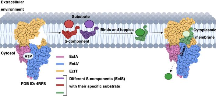 https://cdn.ncbi.nlm.nih.gov/pmc/blobs/9807/11521937/c086fa8676f5/PRO-33-e5195-g005.jpg