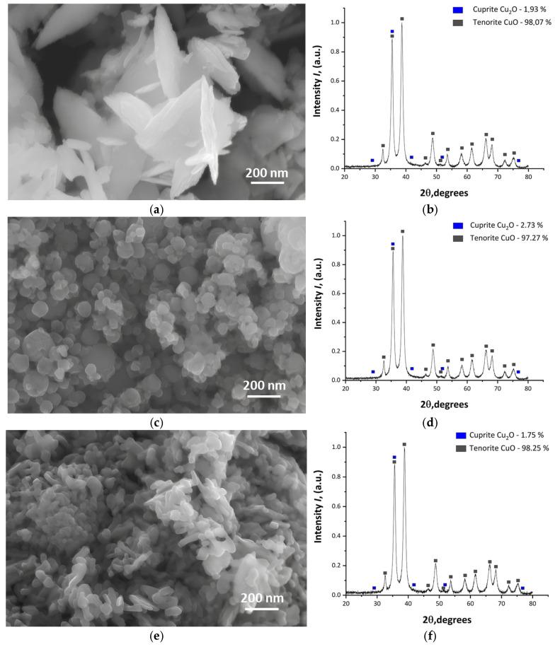 https://cdn.ncbi.nlm.nih.gov/pmc/blobs/9808/11944915/94ae84a1c1e8/nanomaterials-15-00469-g002.jpg