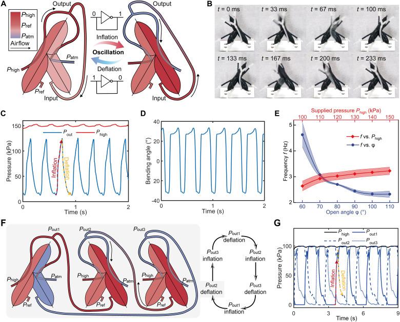 https://cdn.ncbi.nlm.nih.gov/pmc/blobs/9809/11784860/cc7dbe553e49/sciadv.ads8734-f5.jpg