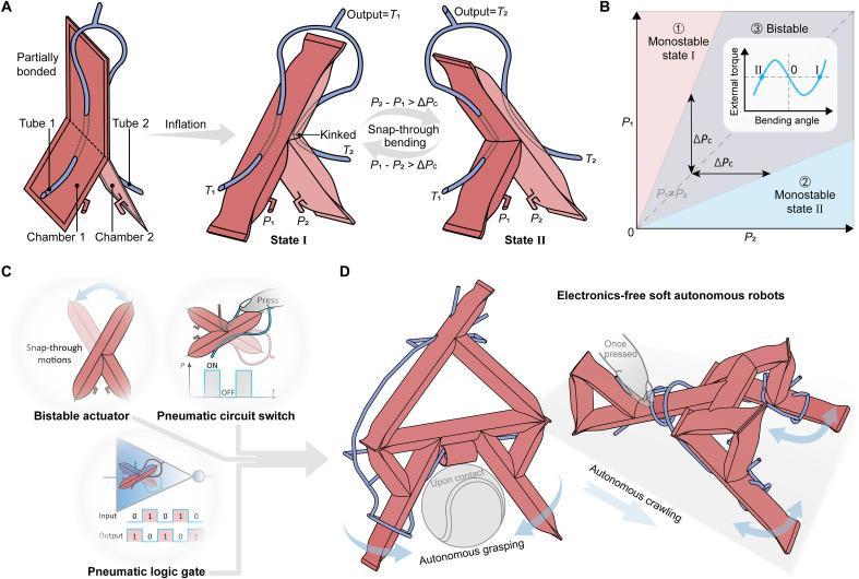 https://cdn.ncbi.nlm.nih.gov/pmc/blobs/9809/11784860/dbe2f69fa225/sciadv.ads8734-f1.jpg