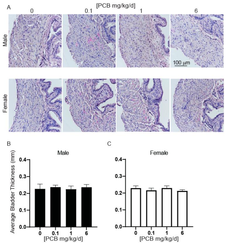 https://cdn.ncbi.nlm.nih.gov/pmc/blobs/980a/10384510/beecadd23019/toxics-11-00609-g009.jpg
