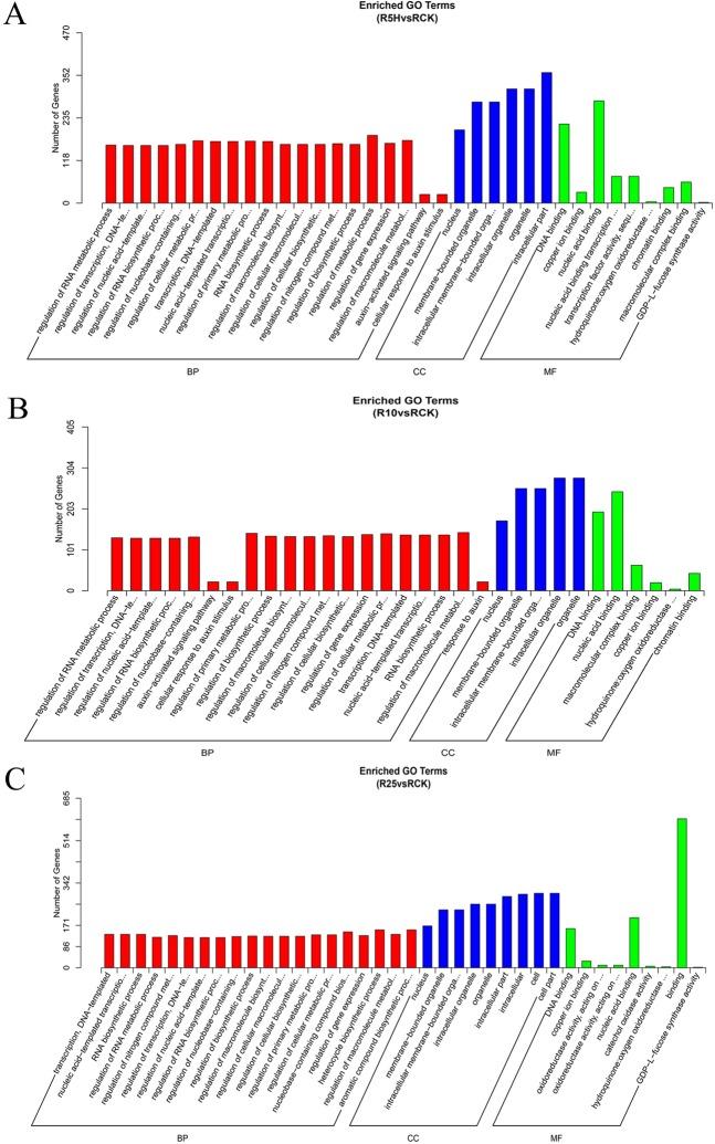 https://cdn.ncbi.nlm.nih.gov/pmc/blobs/980a/6757108/3e357b0dcd7e/41598_2019_50130_Fig6_HTML.jpg