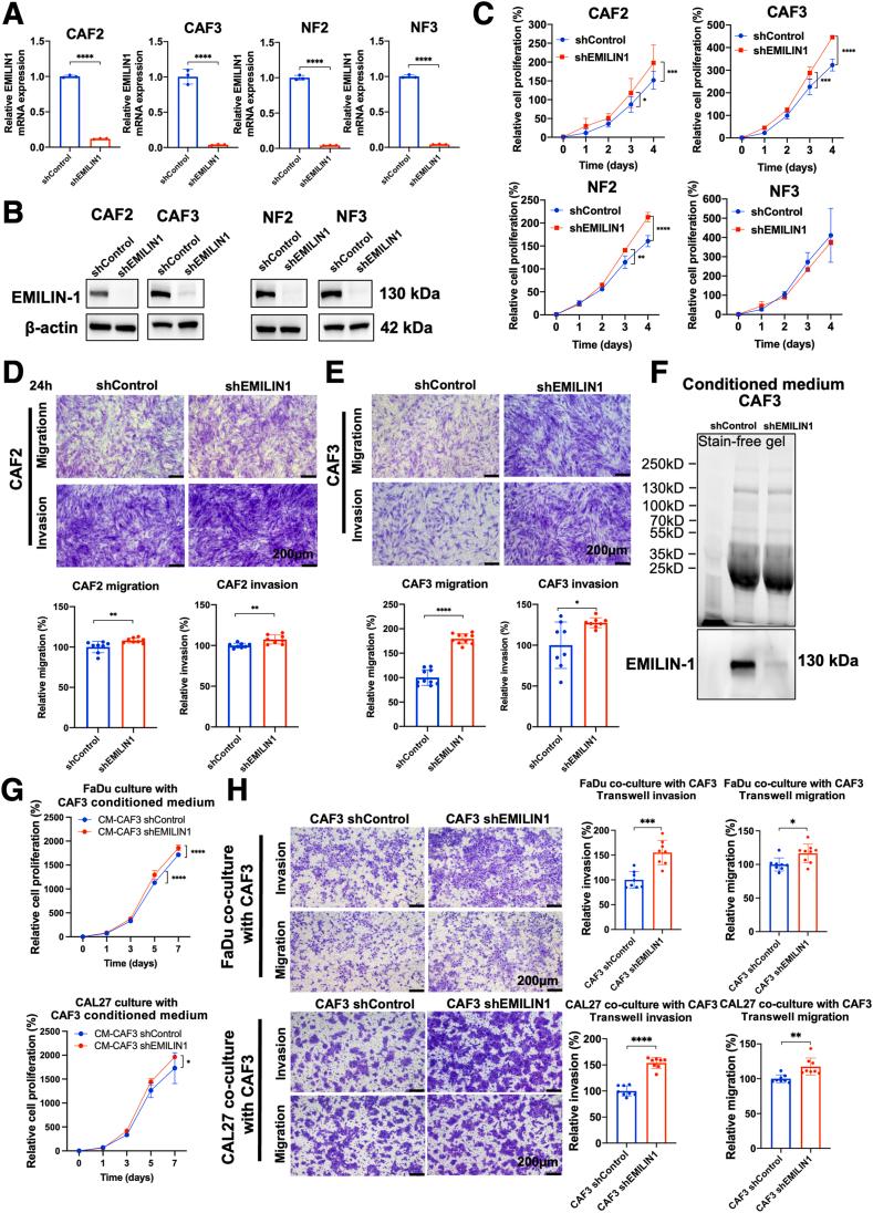 https://cdn.ncbi.nlm.nih.gov/pmc/blobs/980d/12163418/0052fed6cc07/gr4.jpg
