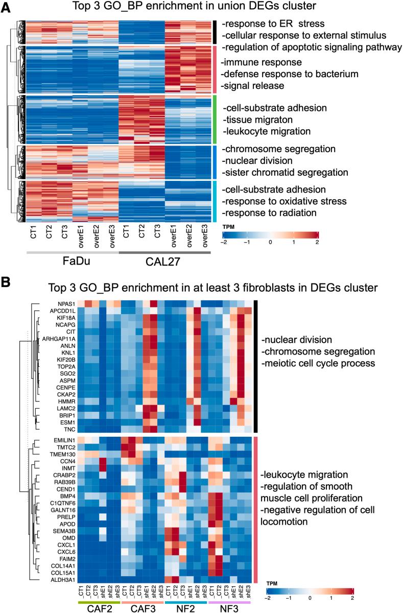 https://cdn.ncbi.nlm.nih.gov/pmc/blobs/980d/12163418/26850af7e8a1/gr5.jpg
