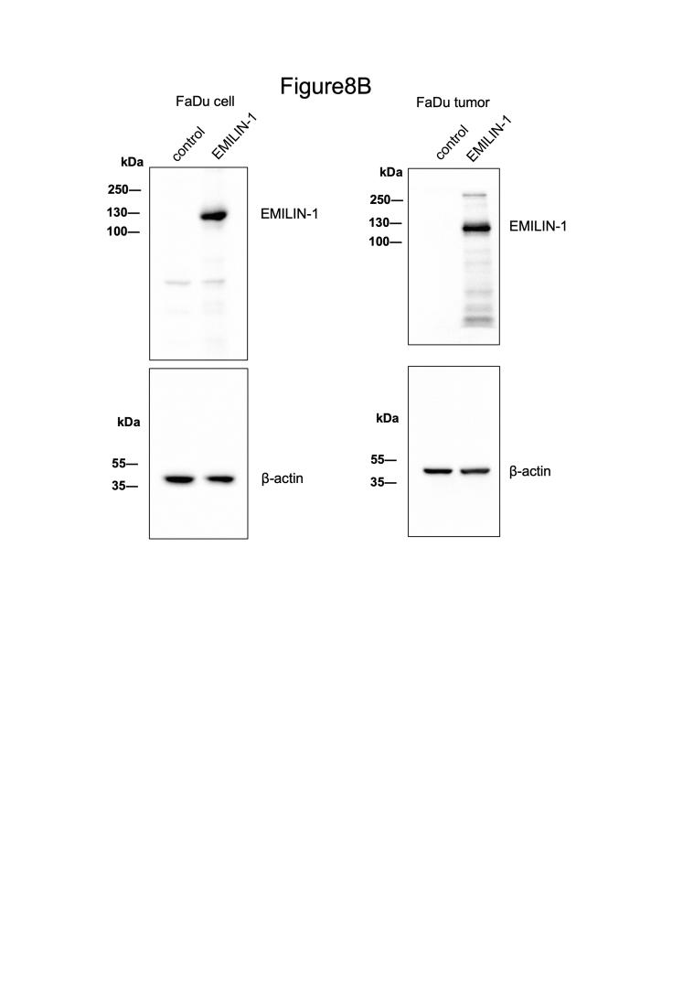 https://cdn.ncbi.nlm.nih.gov/pmc/blobs/980d/12163418/4ab1ea766a9f/figs4.jpg