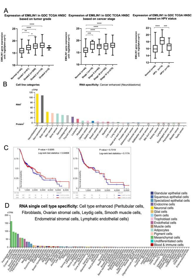 https://cdn.ncbi.nlm.nih.gov/pmc/blobs/980d/12163418/7863471243f7/figs5.jpg