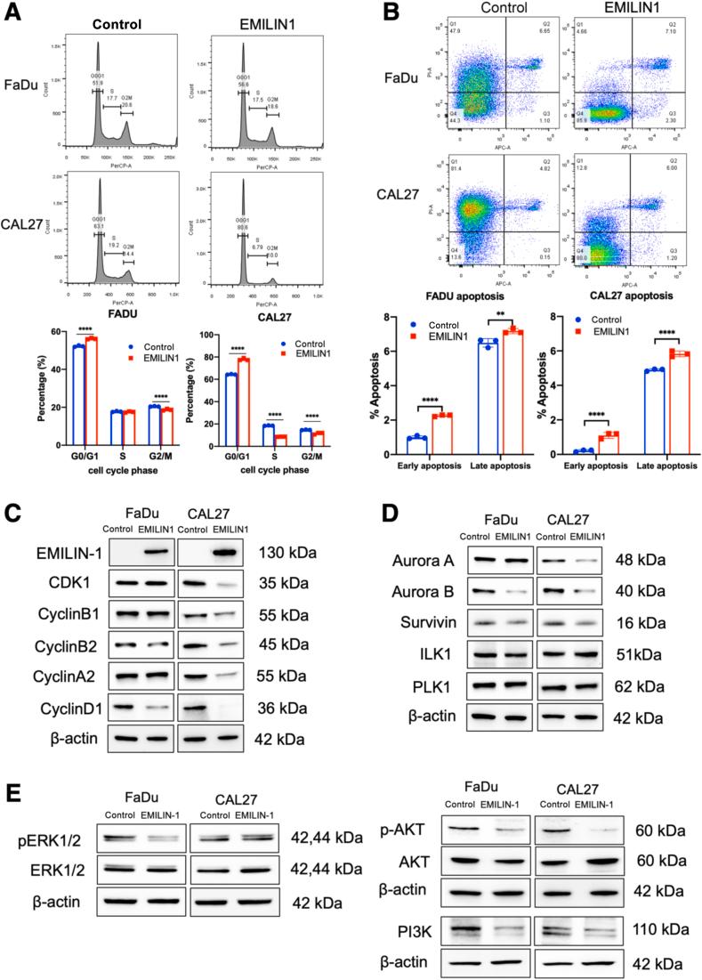 https://cdn.ncbi.nlm.nih.gov/pmc/blobs/980d/12163418/8523556738d6/gr7.jpg