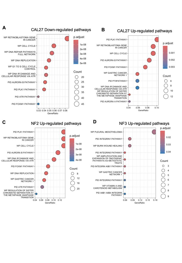 https://cdn.ncbi.nlm.nih.gov/pmc/blobs/980d/12163418/887bf8bdb9f9/figs10.jpg