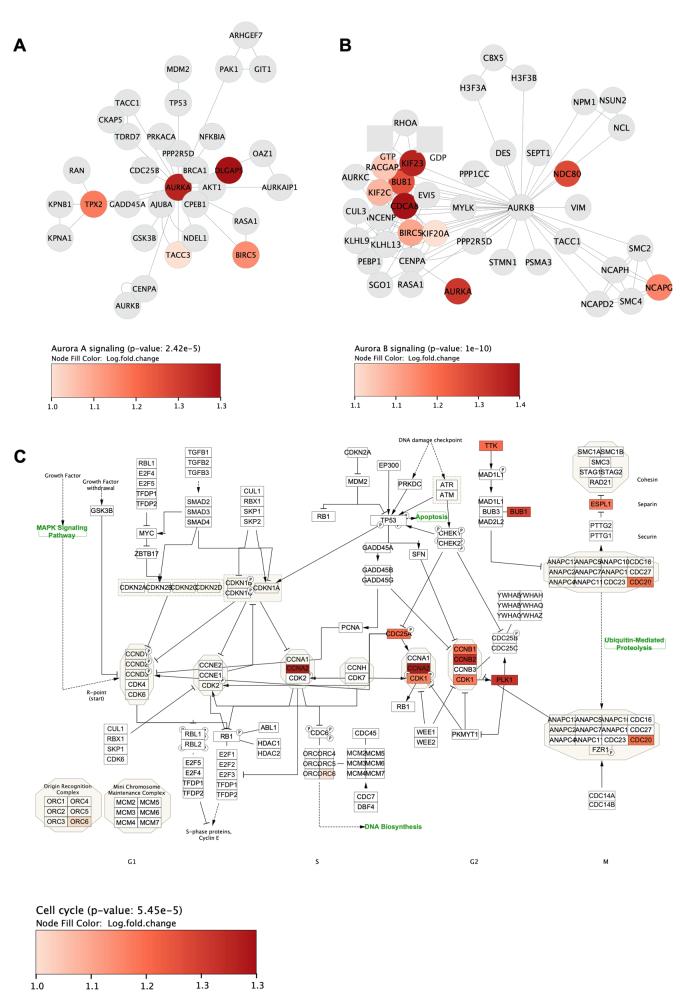 https://cdn.ncbi.nlm.nih.gov/pmc/blobs/980d/12163418/9341a3625a0a/figs12.jpg