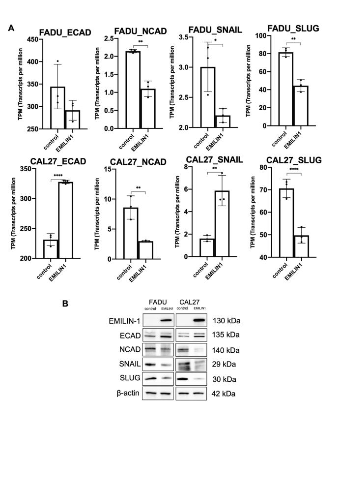 https://cdn.ncbi.nlm.nih.gov/pmc/blobs/980d/12163418/c1ea04e09d31/figs13.jpg