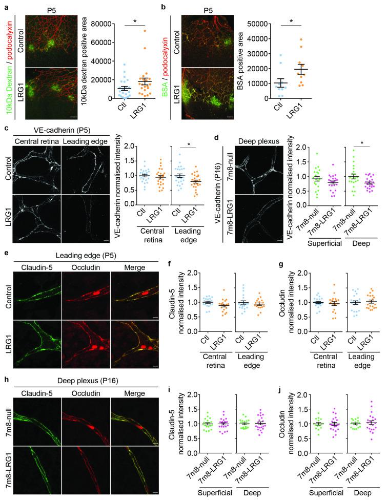 https://cdn.ncbi.nlm.nih.gov/pmc/blobs/9810/12026257/0185fb308384/cells-14-00593-g004.jpg