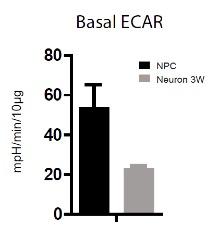 https://cdn.ncbi.nlm.nih.gov/pmc/blobs/9810/4963198/8e581e7d0015/elife-13374-resp-fig2.jpg