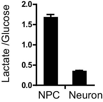 https://cdn.ncbi.nlm.nih.gov/pmc/blobs/9810/4963198/fd8216bf1ec4/elife-13374-fig1-figsupp7.jpg