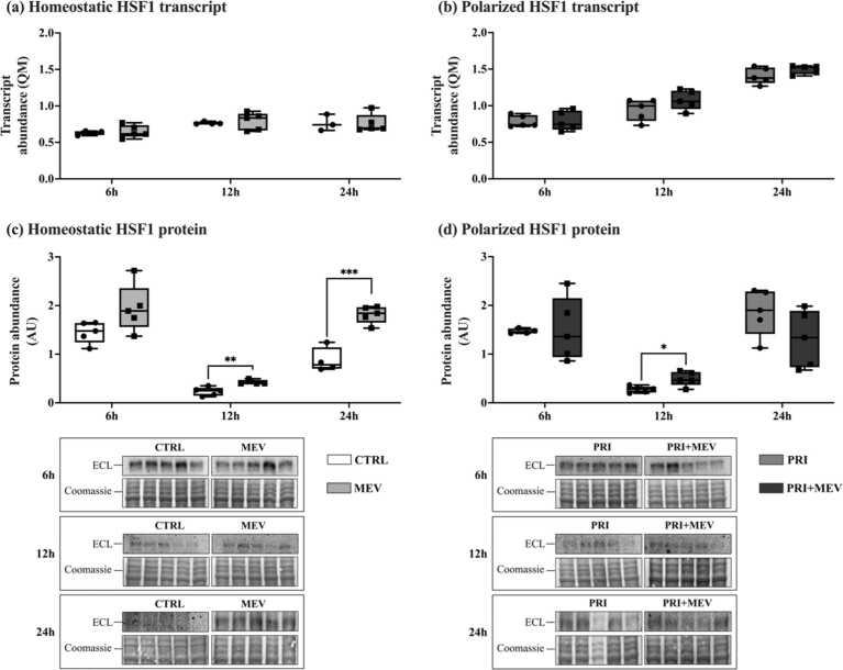 https://cdn.ncbi.nlm.nih.gov/pmc/blobs/9811/12284536/9ebef4fc98b0/gr3.jpg