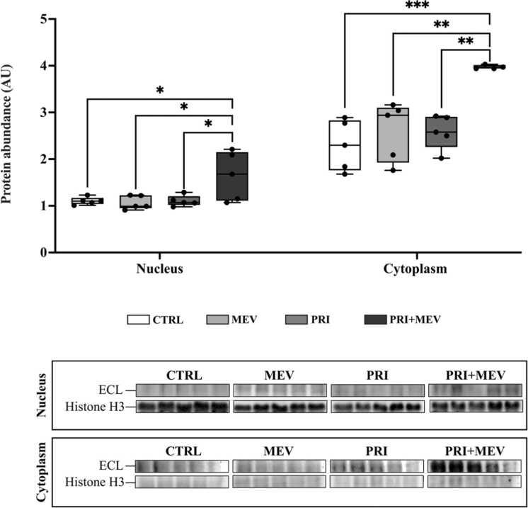 https://cdn.ncbi.nlm.nih.gov/pmc/blobs/9811/12284536/a06f819e21f0/gr4.jpg