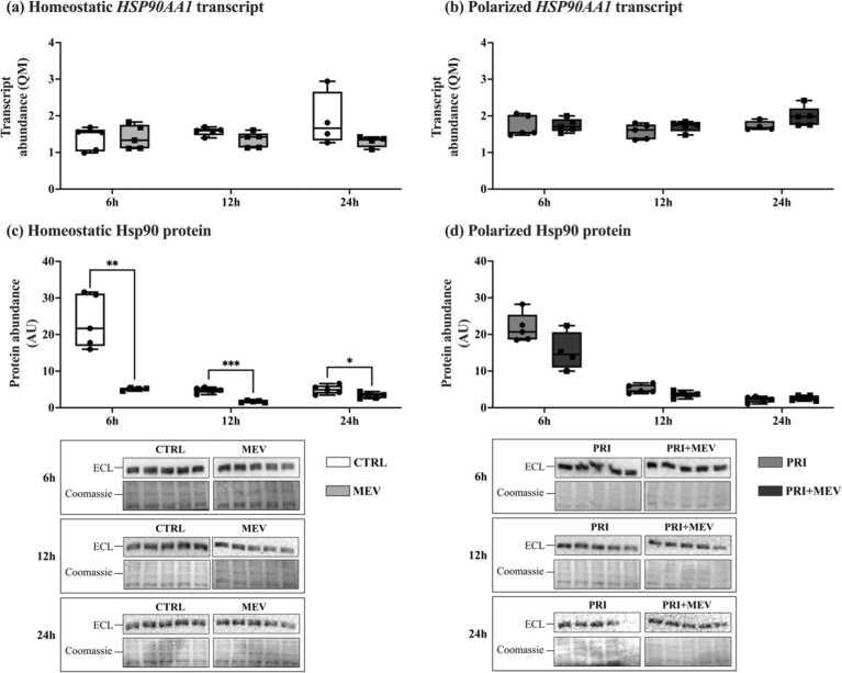 https://cdn.ncbi.nlm.nih.gov/pmc/blobs/9811/12284536/fbf0a363dba2/gr6.jpg