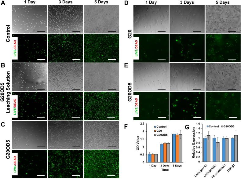 https://cdn.ncbi.nlm.nih.gov/pmc/blobs/9812/8424423/07910250d1c6/gr4.jpg