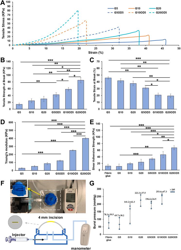 https://cdn.ncbi.nlm.nih.gov/pmc/blobs/9812/8424423/1bc44da86e47/gr3.jpg