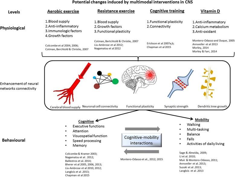 https://cdn.ncbi.nlm.nih.gov/pmc/blobs/9815/5902955/74bb66be902e/12877_2018_782_Fig3_HTML.jpg