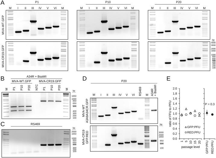 https://cdn.ncbi.nlm.nih.gov/pmc/blobs/9816/7198665/add156e990d0/12250_2019_176_Fig7_HTML.jpg