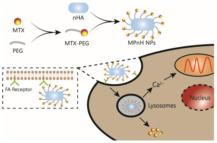https://cdn.ncbi.nlm.nih.gov/pmc/blobs/9818/10146394/ccf6461397ea/micromachines-14-00757-sch001.jpg