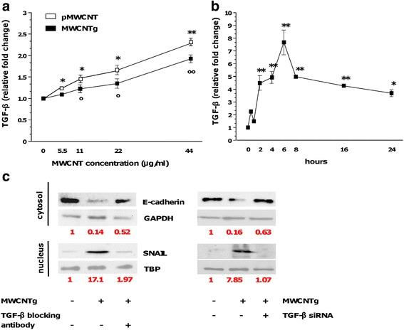 https://cdn.ncbi.nlm.nih.gov/pmc/blobs/9818/4890337/b6191a9ad604/12989_2016_138_Fig6_HTML.jpg