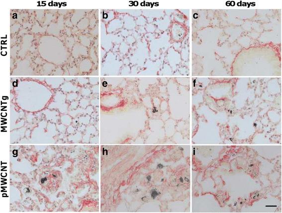 https://cdn.ncbi.nlm.nih.gov/pmc/blobs/9818/4890337/e46b2bb1e26a/12989_2016_138_Fig8_HTML.jpg
