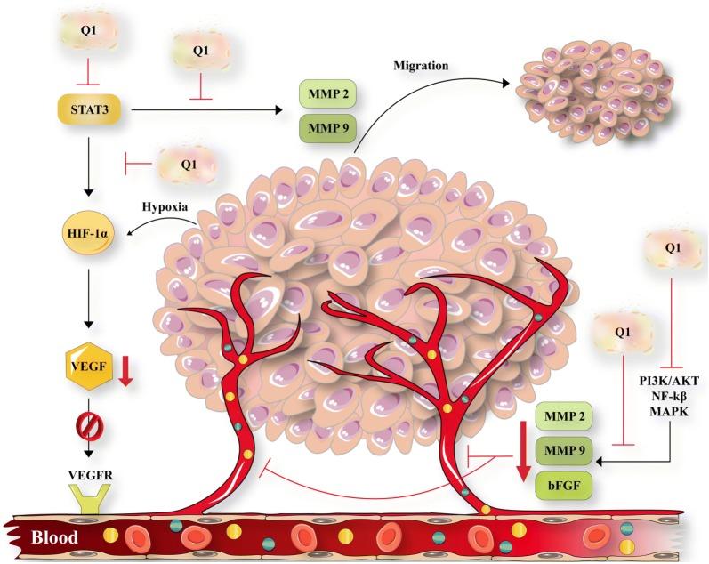 https://cdn.ncbi.nlm.nih.gov/pmc/blobs/9818/7063794/3030873de377/13578_2020_397_Fig2_HTML.jpg