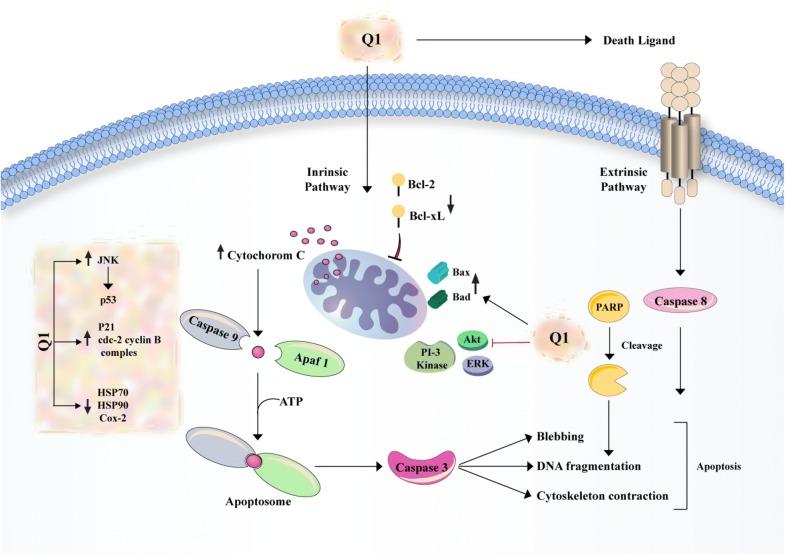 https://cdn.ncbi.nlm.nih.gov/pmc/blobs/9818/7063794/89f899b93ff4/13578_2020_397_Fig3_HTML.jpg