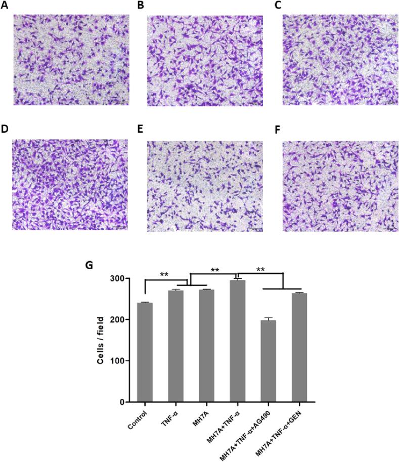https://cdn.ncbi.nlm.nih.gov/pmc/blobs/9818/7231959/6347114b704e/gr4.jpg