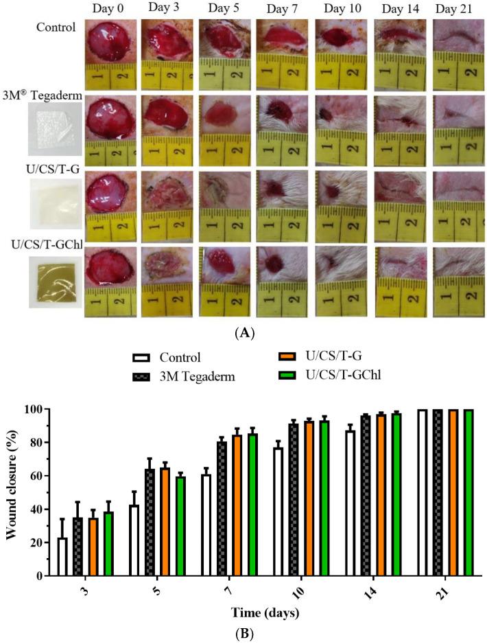 https://cdn.ncbi.nlm.nih.gov/pmc/blobs/981b/9786826/24ebfd0efeec/polymers-14-05382-g008.jpg