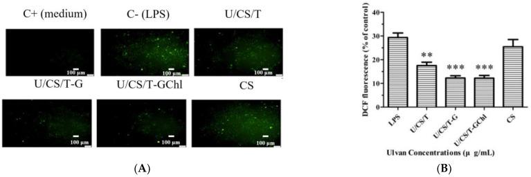 https://cdn.ncbi.nlm.nih.gov/pmc/blobs/981b/9786826/2b45a089d2fb/polymers-14-05382-g007a.jpg