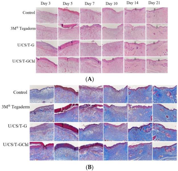 https://cdn.ncbi.nlm.nih.gov/pmc/blobs/981b/9786826/7a718d83b2ef/polymers-14-05382-g009.jpg