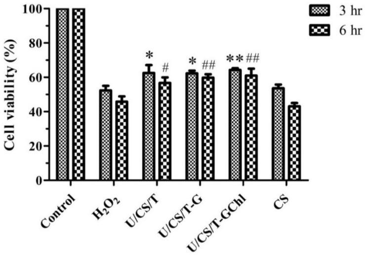 https://cdn.ncbi.nlm.nih.gov/pmc/blobs/981b/9786826/d5c334f19fee/polymers-14-05382-g006.jpg