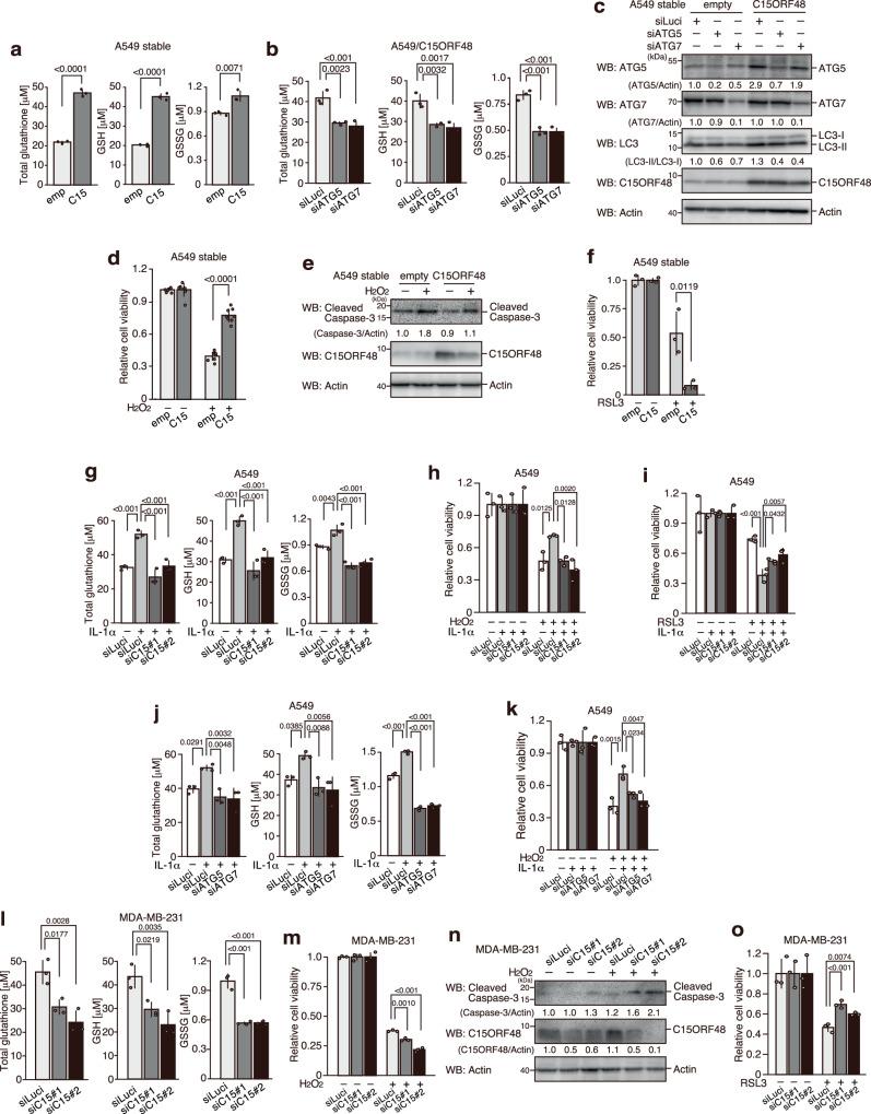 https://cdn.ncbi.nlm.nih.gov/pmc/blobs/981c/10831050/35e63291994b/41467_2024_45206_Fig5_HTML.jpg