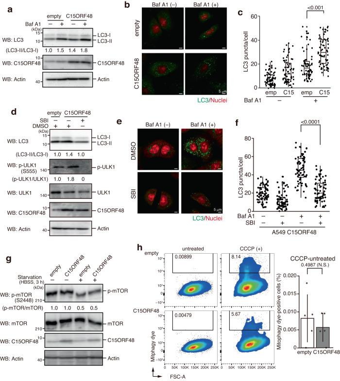 https://cdn.ncbi.nlm.nih.gov/pmc/blobs/981c/10831050/3def1340d3f0/41467_2024_45206_Fig2_HTML.jpg