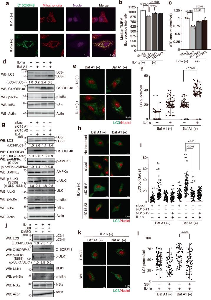 https://cdn.ncbi.nlm.nih.gov/pmc/blobs/981c/10831050/6399b3a13fc7/41467_2024_45206_Fig3_HTML.jpg