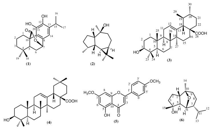 https://cdn.ncbi.nlm.nih.gov/pmc/blobs/981c/6027405/db5083e82901/pharmaceuticals-11-00033-g001.jpg
