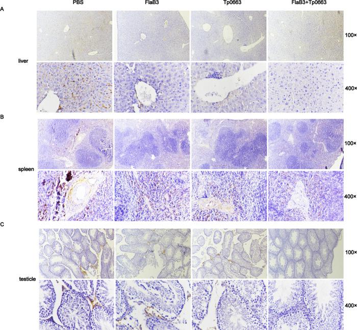 https://cdn.ncbi.nlm.nih.gov/pmc/blobs/981d/12044484/7da3ad028d4a/ao5c00495_0006.jpg